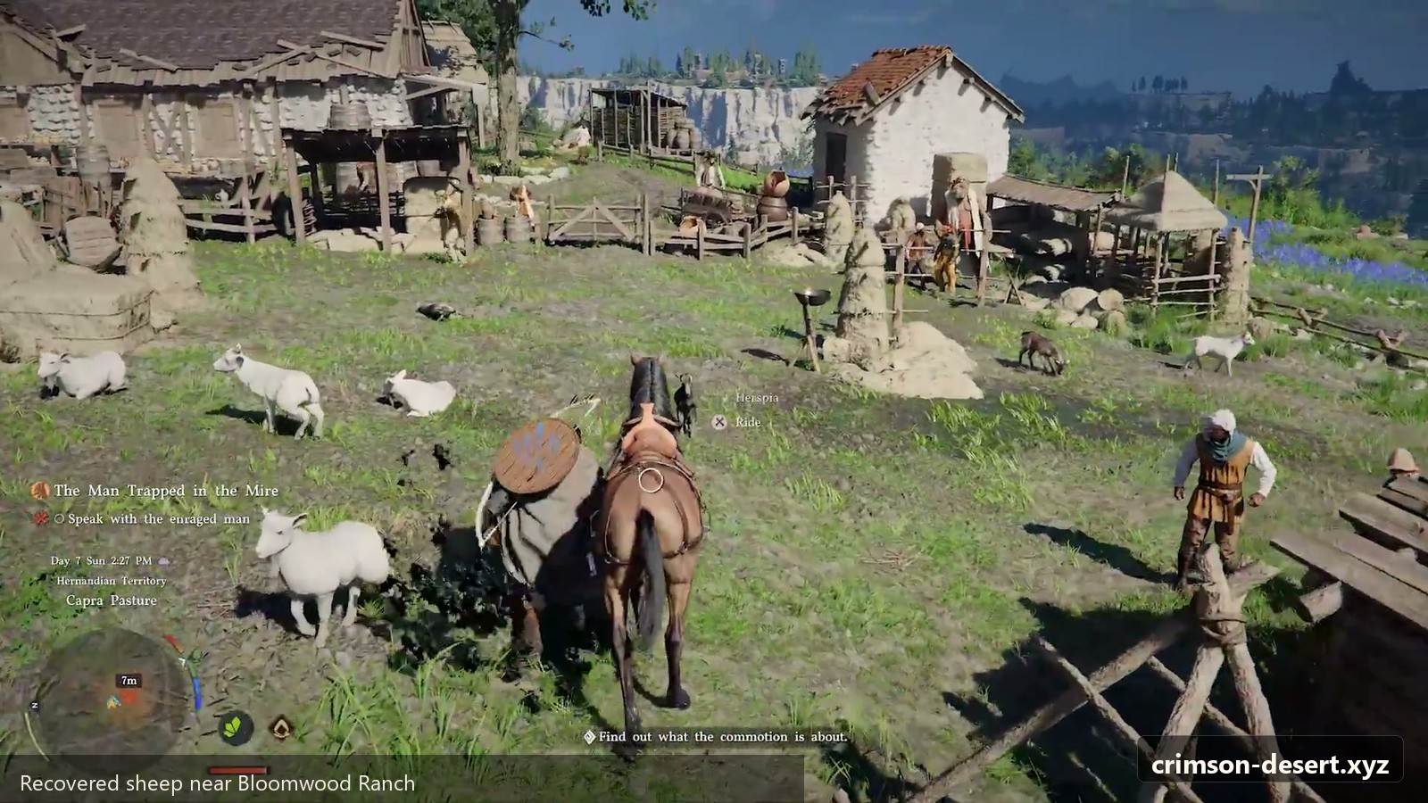 Recovered sheep near Bloomwood Ranch. Screenshot with crimson-desert.xyz watermark.